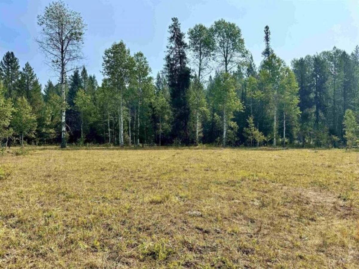 Picture of Residential Land For Sale in Cascade, Idaho, United States