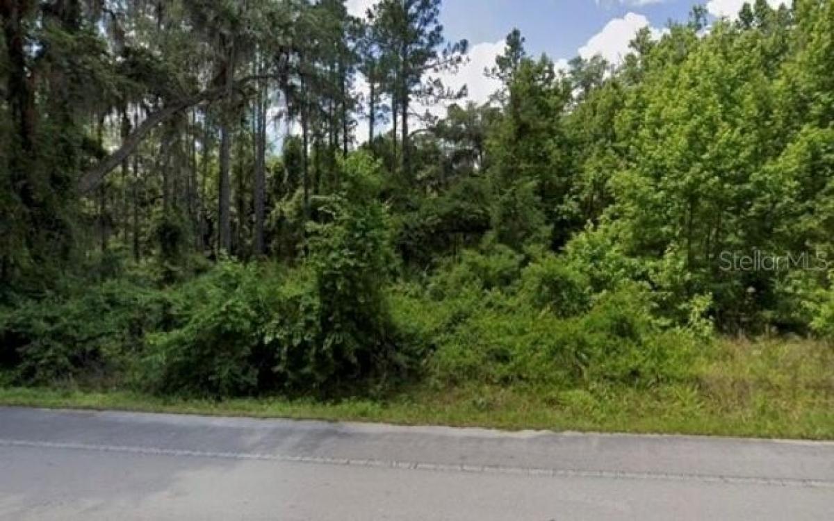 Picture of Residential Land For Rent in Citra, Florida, United States