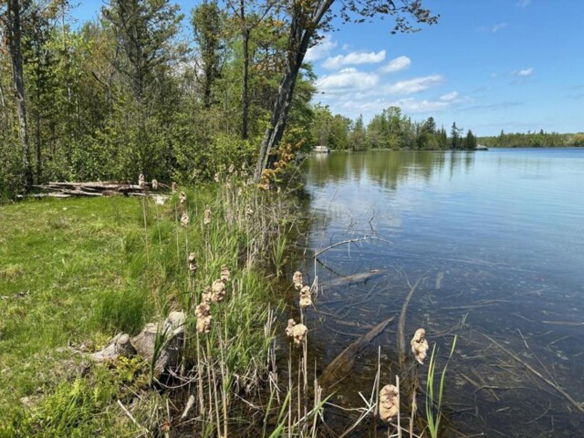 Picture of Residential Land For Sale in Presque Isle, Michigan, United States