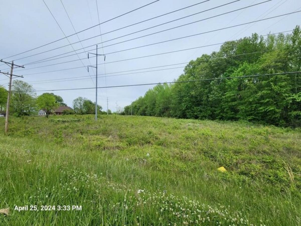 Picture of Residential Land For Sale in Camden, Tennessee, United States