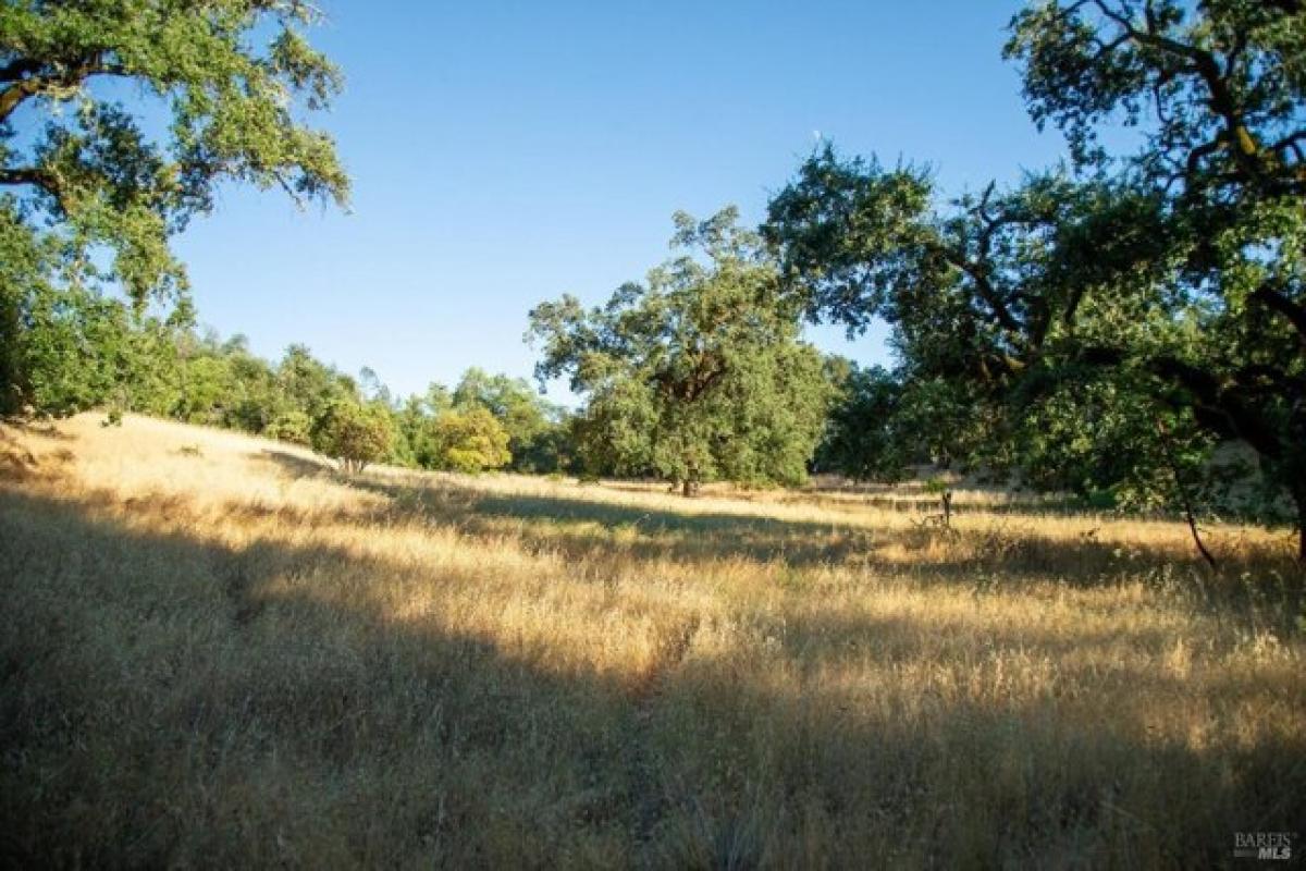 Picture of Residential Land For Sale in Cloverdale, California, United States