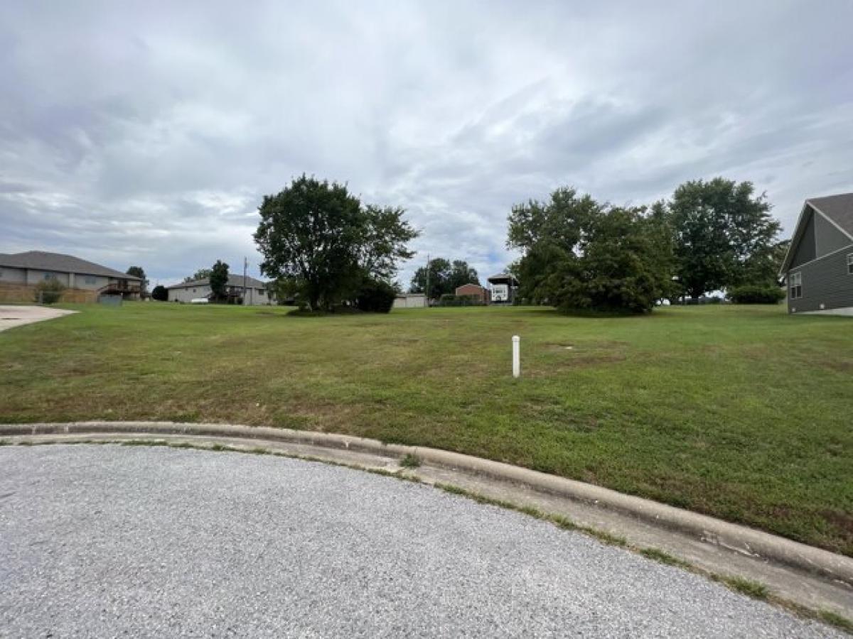 Picture of Residential Land For Sale in Marshfield, Missouri, United States