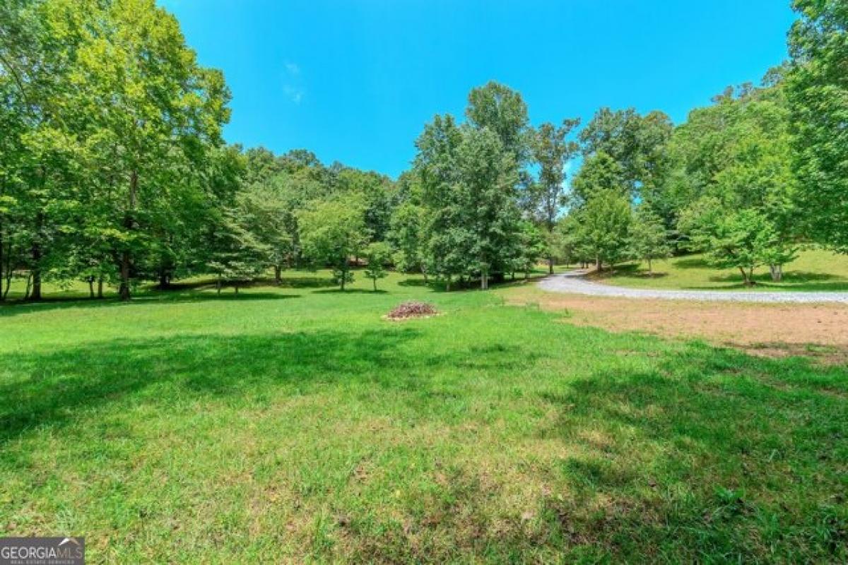 Picture of Residential Land For Sale in Cleveland, Georgia, United States