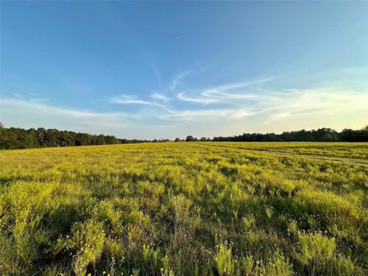 Picture of Residential Land For Sale in Moscow, Texas, United States