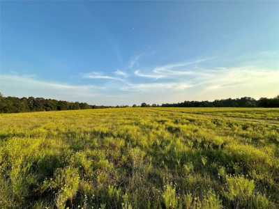 Residential Land For Sale in Moscow, Texas