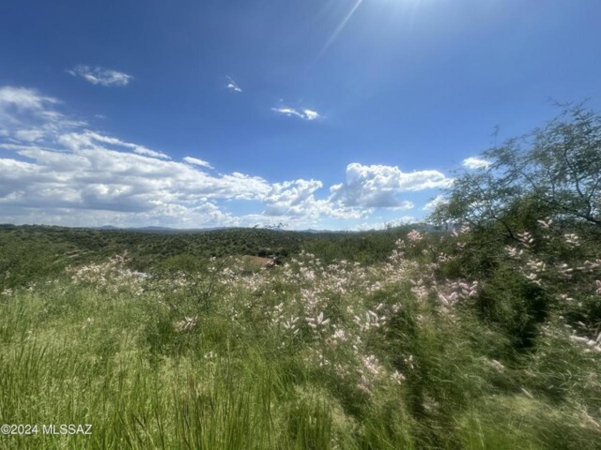 Picture of Residential Land For Sale in Rio Rico, Arizona, United States