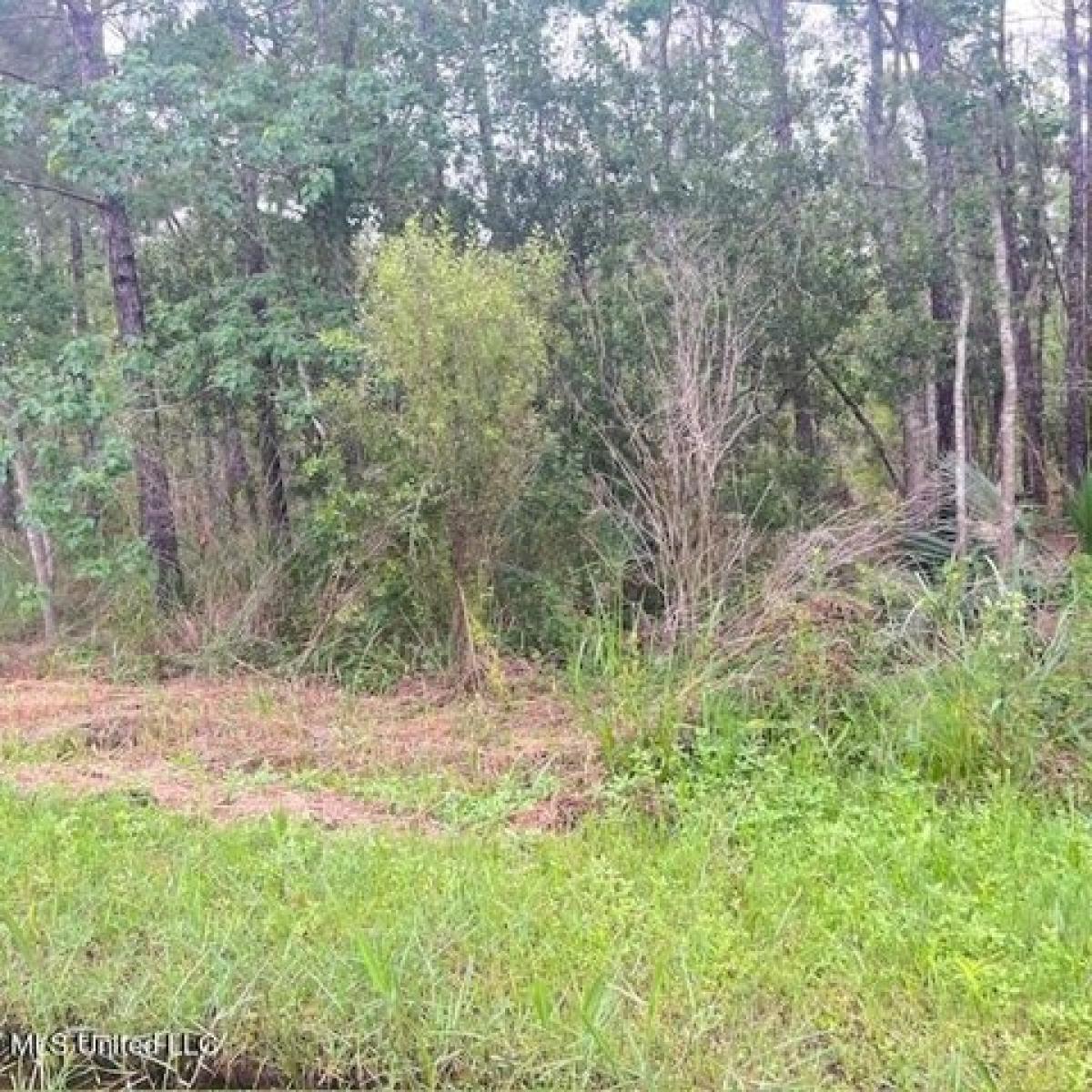 Picture of Residential Land For Rent in Bay Saint Louis, Mississippi, United States