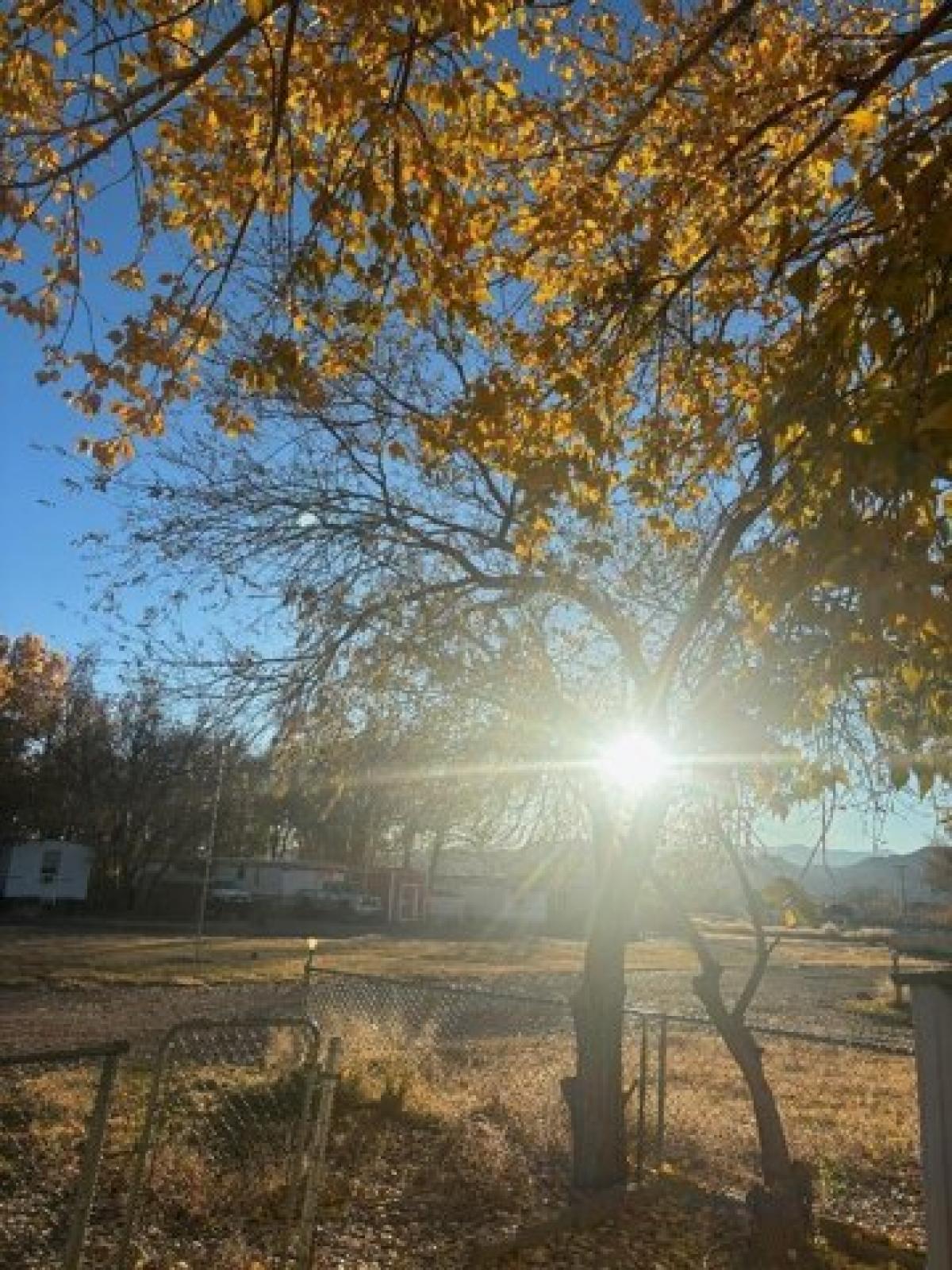 Picture of Home For Rent in Socorro, New Mexico, United States