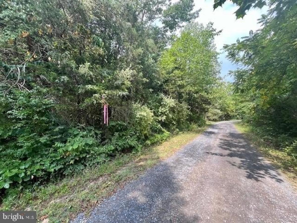 Picture of Residential Land For Sale in Luray, Virginia, United States