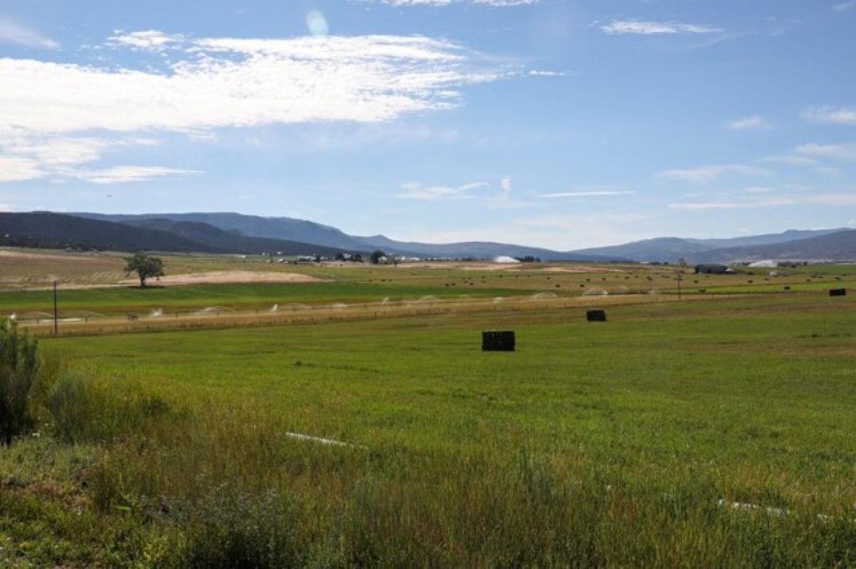 Picture of Residential Land For Sale in Montrose, Colorado, United States