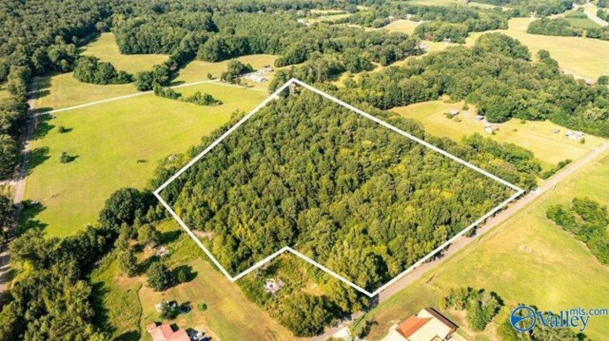 Picture of Residential Land For Sale in Scottsboro, Alabama, United States