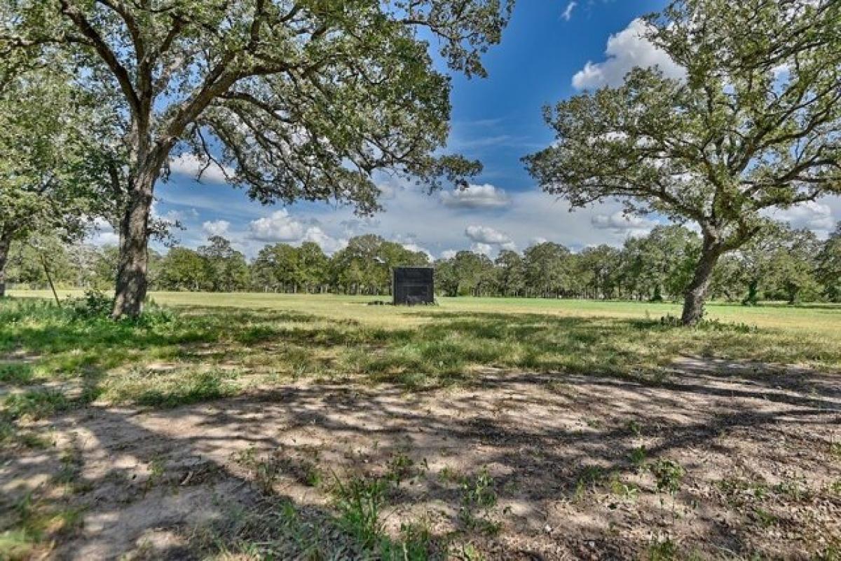 Picture of Residential Land For Sale in Giddings, Texas, United States