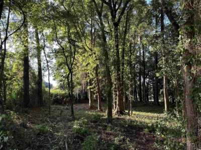 Residential Land For Sale in Georgetown, South Carolina