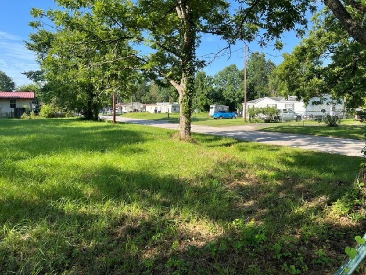 Picture of Residential Land For Sale in Corrigan, Texas, United States