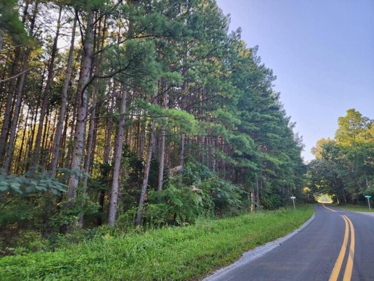 Picture of Residential Land For Sale in Brookneal, Virginia, United States