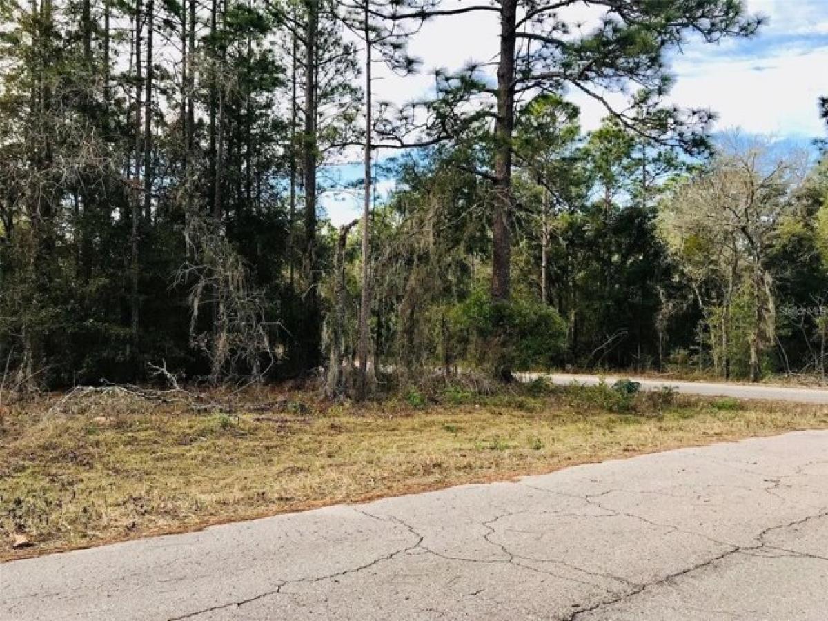 Picture of Residential Land For Sale in Williston, Florida, United States