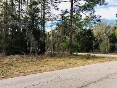 Residential Land For Sale in Williston, Florida