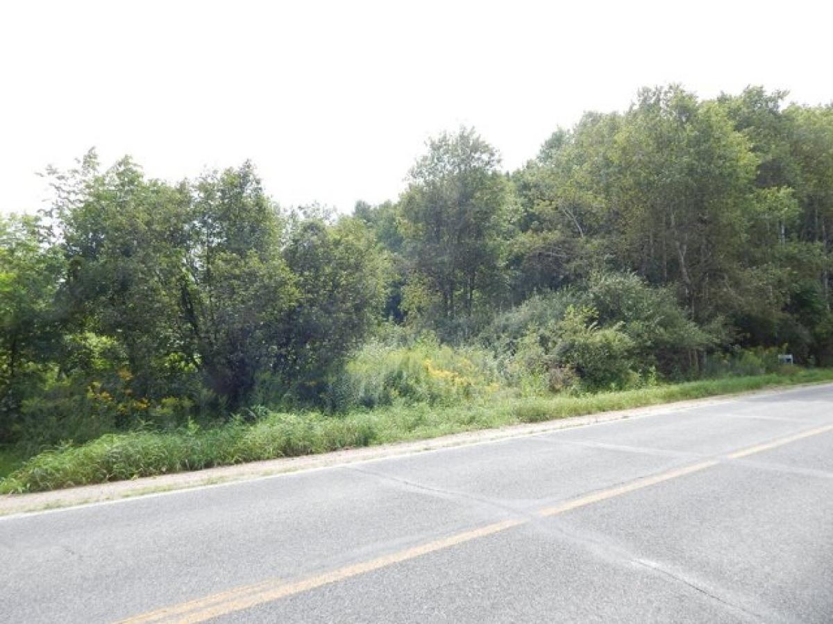 Picture of Residential Land For Sale in White Cloud, Michigan, United States