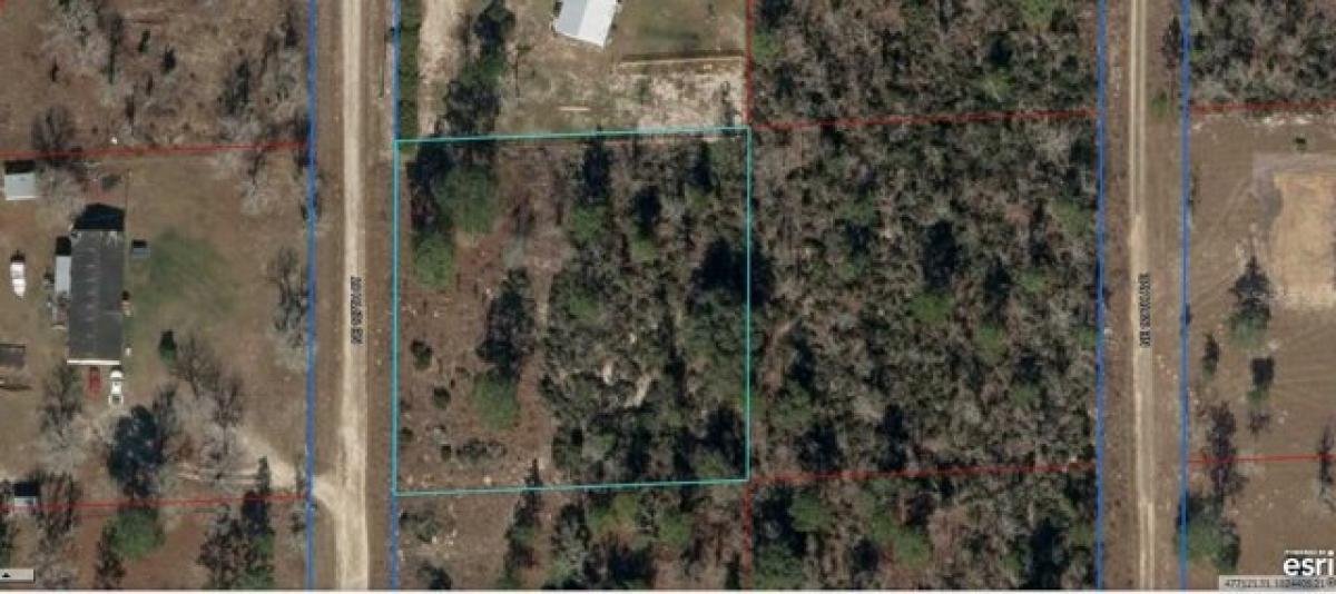 Picture of Residential Land For Sale in Williston, Florida, United States