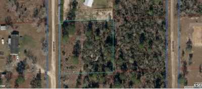 Residential Land For Sale in Williston, Florida