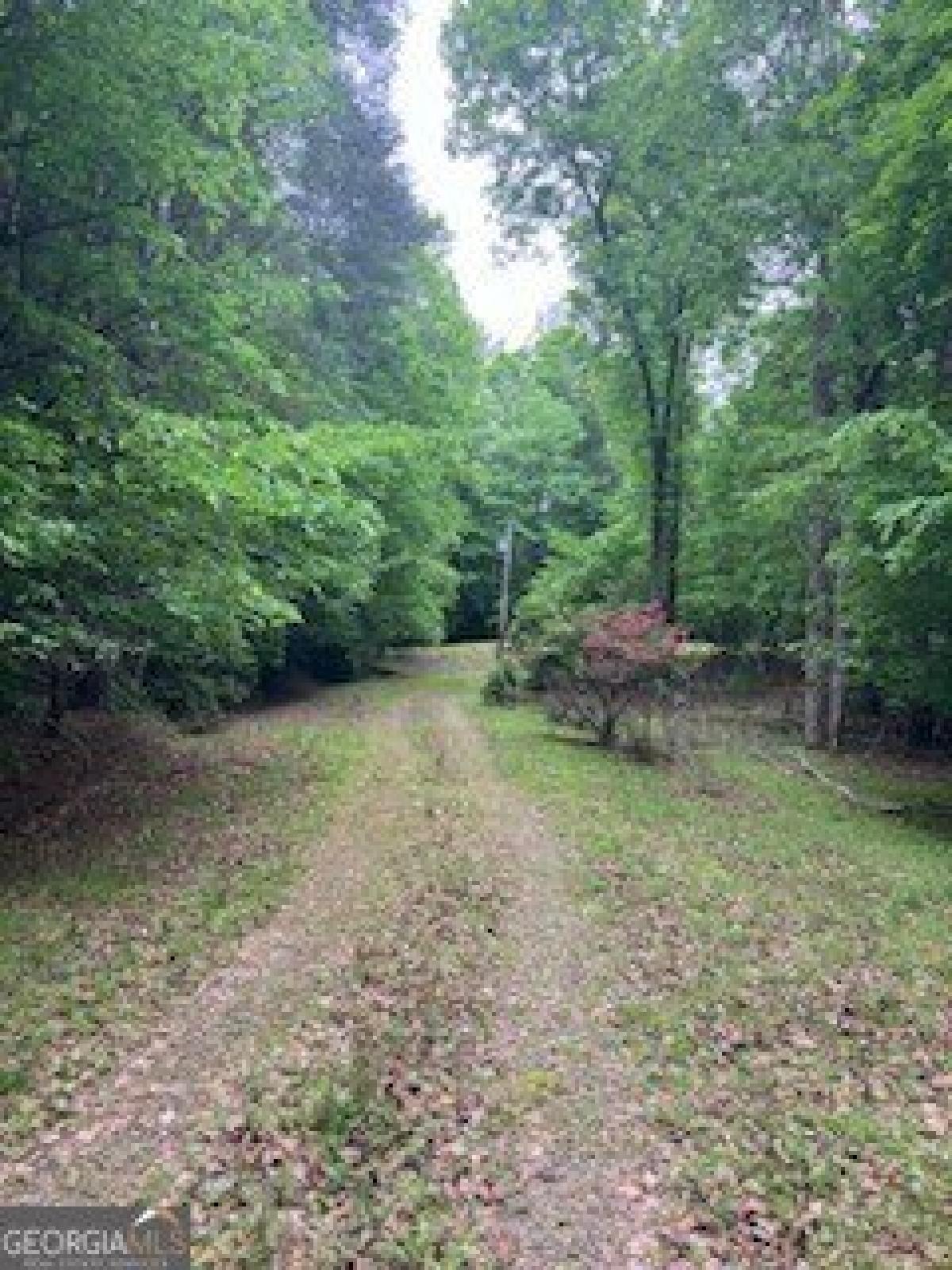 Picture of Home For Sale in Blairsville, Georgia, United States