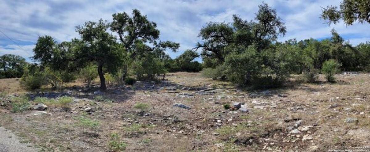 Picture of Residential Land For Sale in New Braunfels, Texas, United States