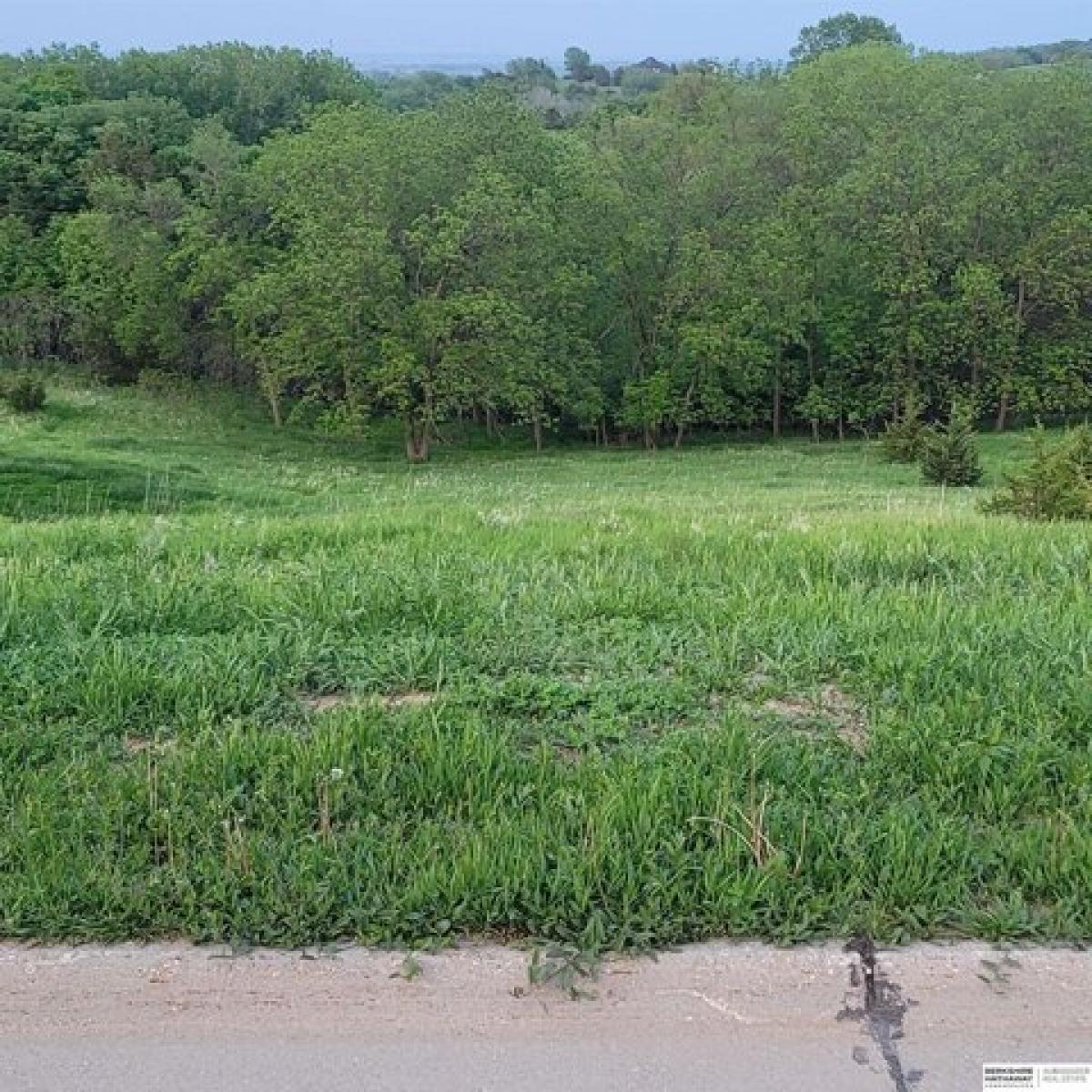 Picture of Residential Land For Sale in Blair, Nebraska, United States