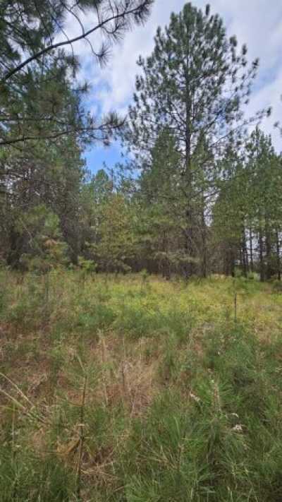 Residential Land For Sale in 