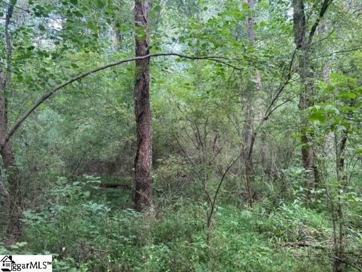 Picture of Residential Land For Sale in Pickens, South Carolina, United States