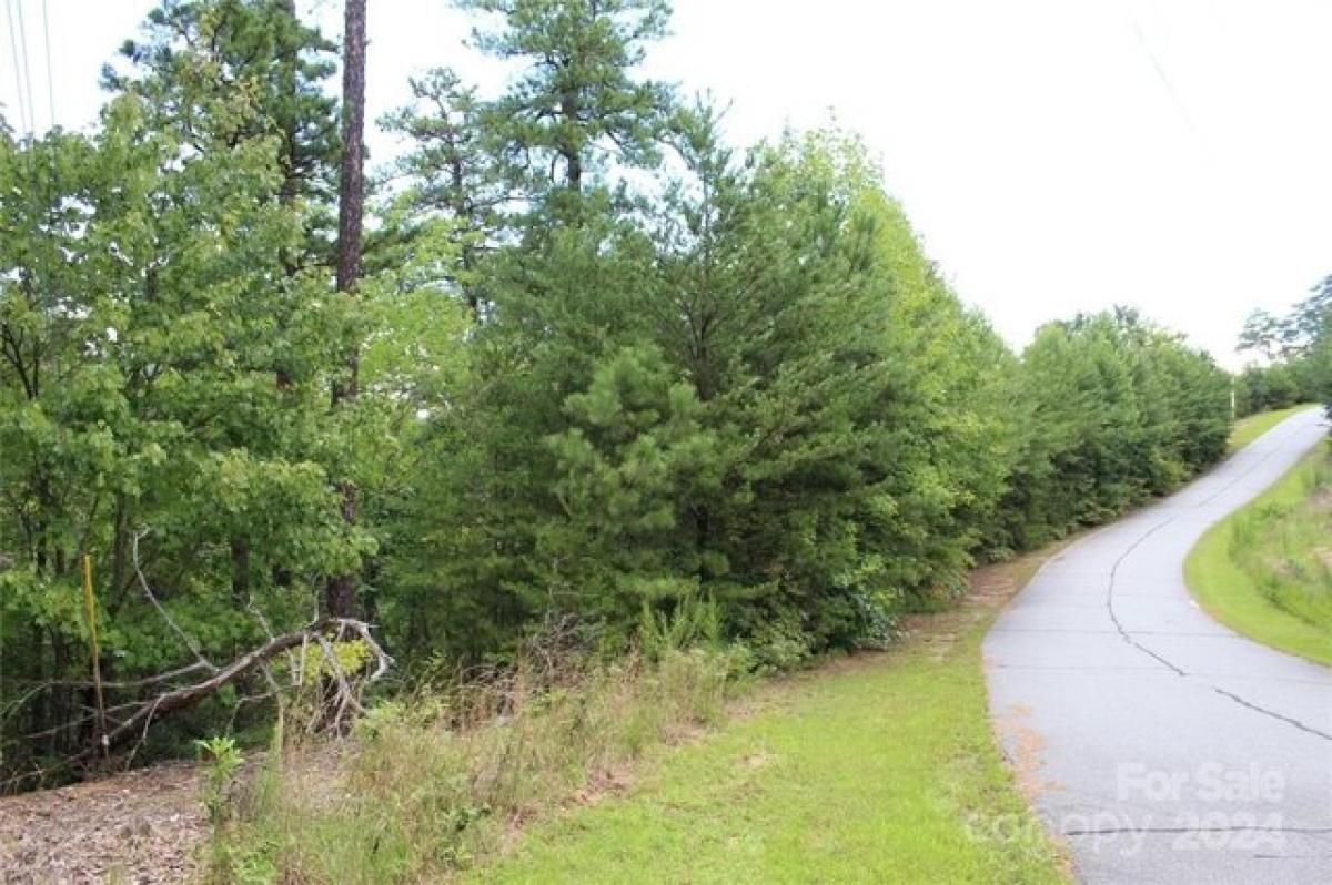 Picture of Residential Land For Sale in Bostic, North Carolina, United States