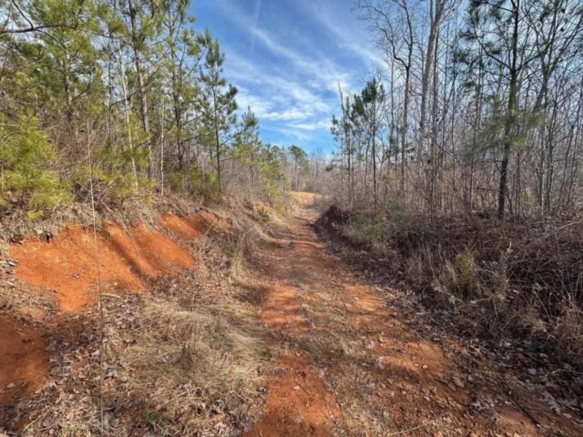 Picture of Residential Land For Sale in Savannah, Tennessee, United States