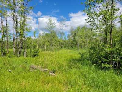 Residential Land For Sale in Pittsville, Wisconsin