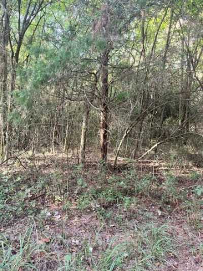 Residential Land For Sale in Centerville, Texas