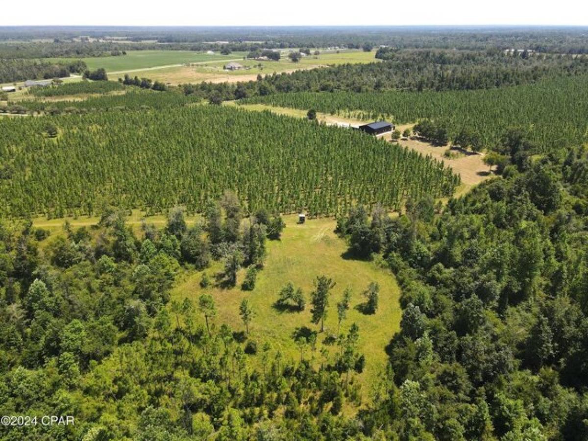 Picture of Residential Land For Sale in Blountstown, Florida, United States