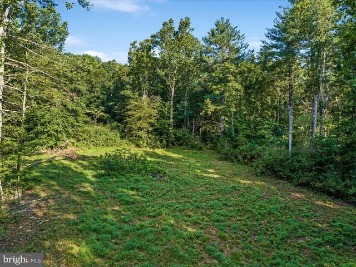 Picture of Residential Land For Sale in Bentonville, Virginia, United States