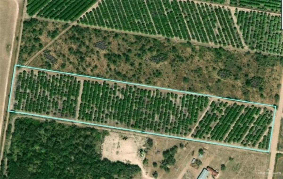 Picture of Residential Land For Sale in Edinburg, Texas, United States