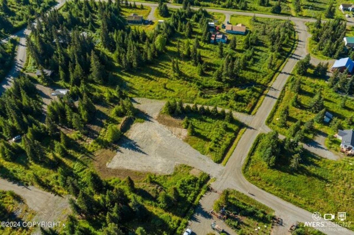 Picture of Residential Land For Sale in Anchor Point, Alaska, United States