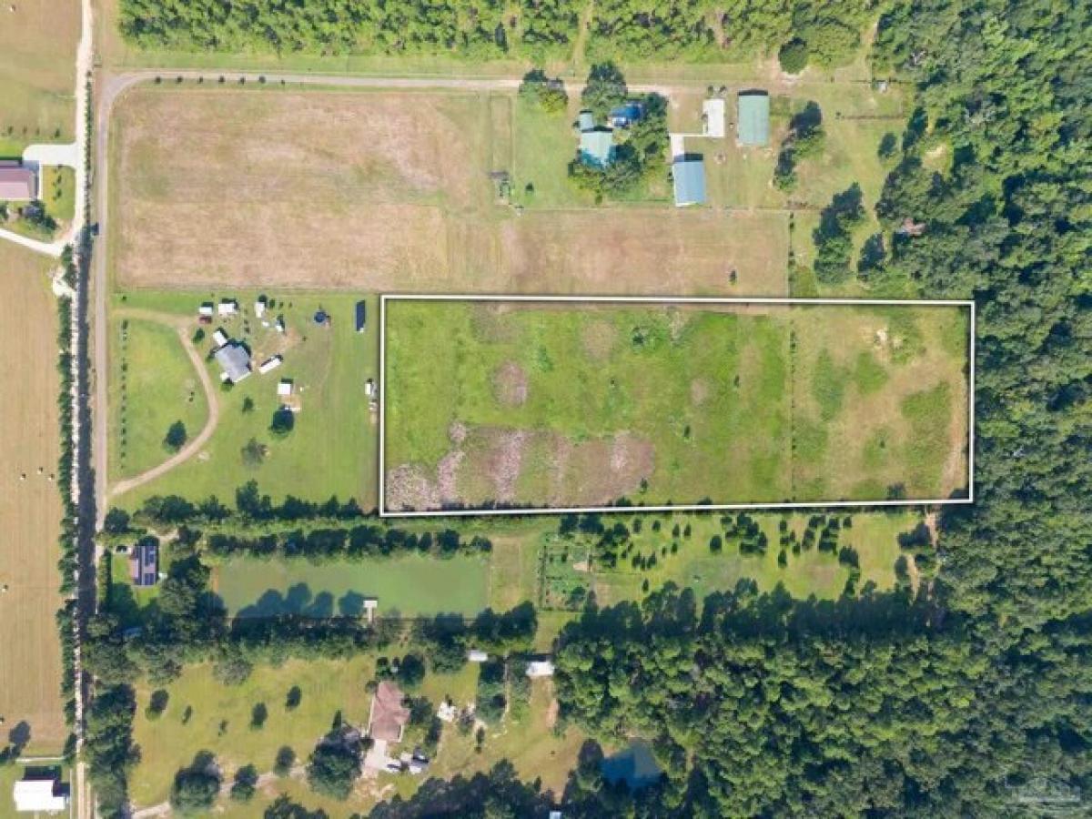 Picture of Residential Land For Sale in Molino, Florida, United States