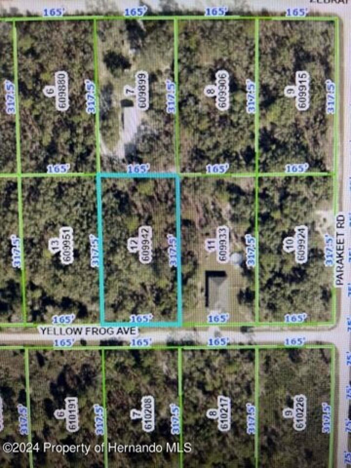 Picture of Residential Land For Sale in Brooksville, Florida, United States