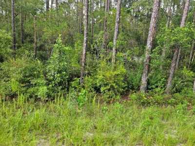 Residential Land For Sale in Wewahitchka, Florida