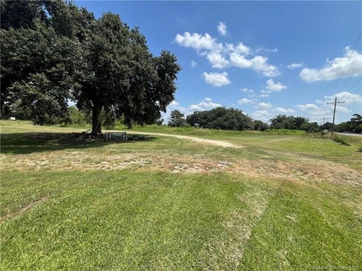 Picture of Residential Land For Sale in Gueydan, Louisiana, United States