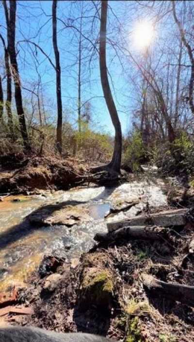 Residential Land For Sale in Taylorsville, North Carolina