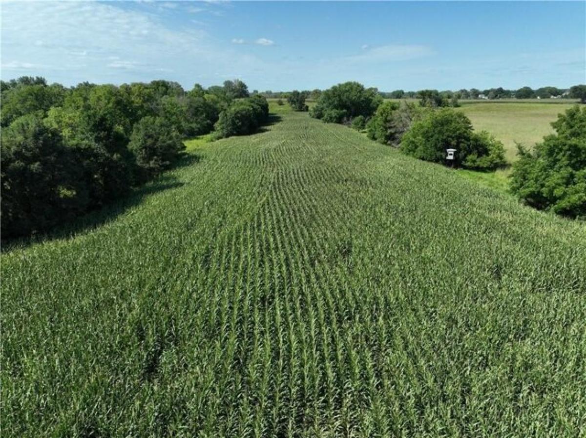 Picture of Residential Land For Rent in Webster City, Iowa, United States