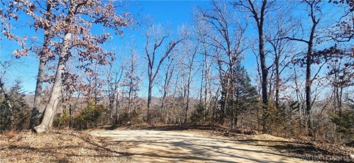 Picture of Residential Land For Sale in Versailles, Missouri, United States