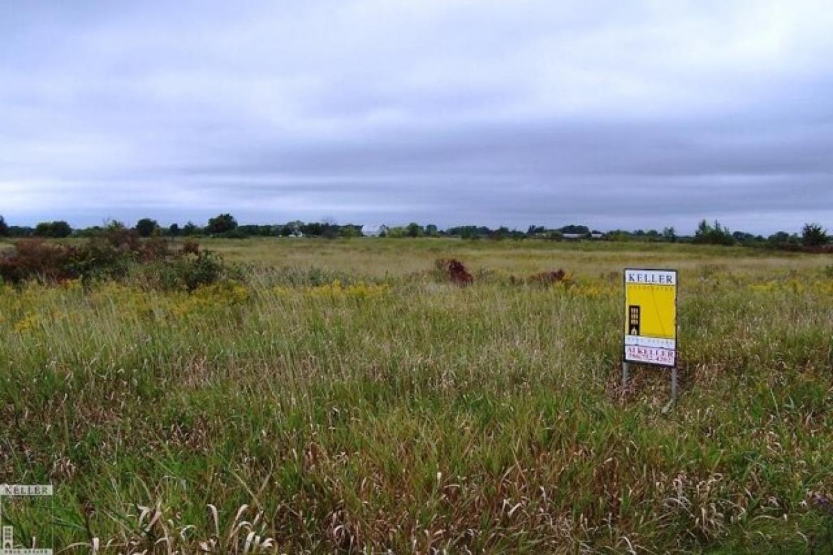 Picture of Residential Land For Sale in Imlay City, Michigan, United States