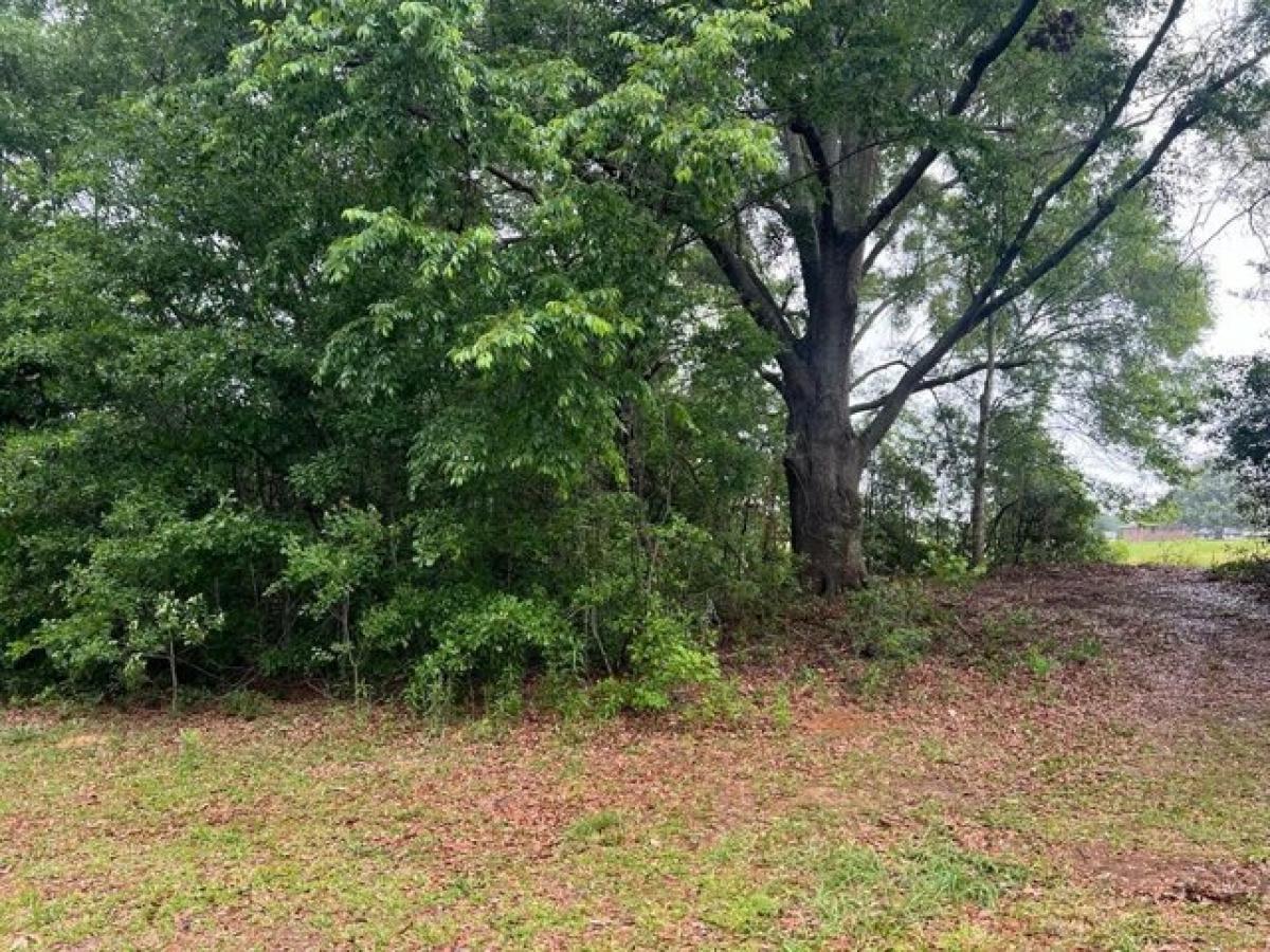 Picture of Residential Land For Sale in Lumberton, Mississippi, United States