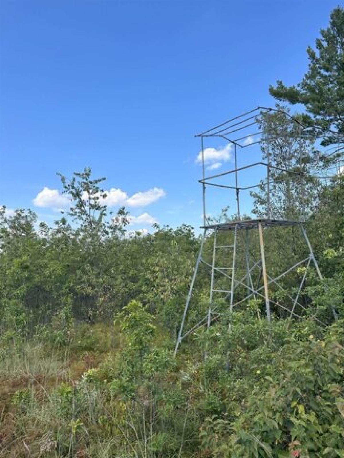 Picture of Residential Land For Sale in Crivitz, Wisconsin, United States