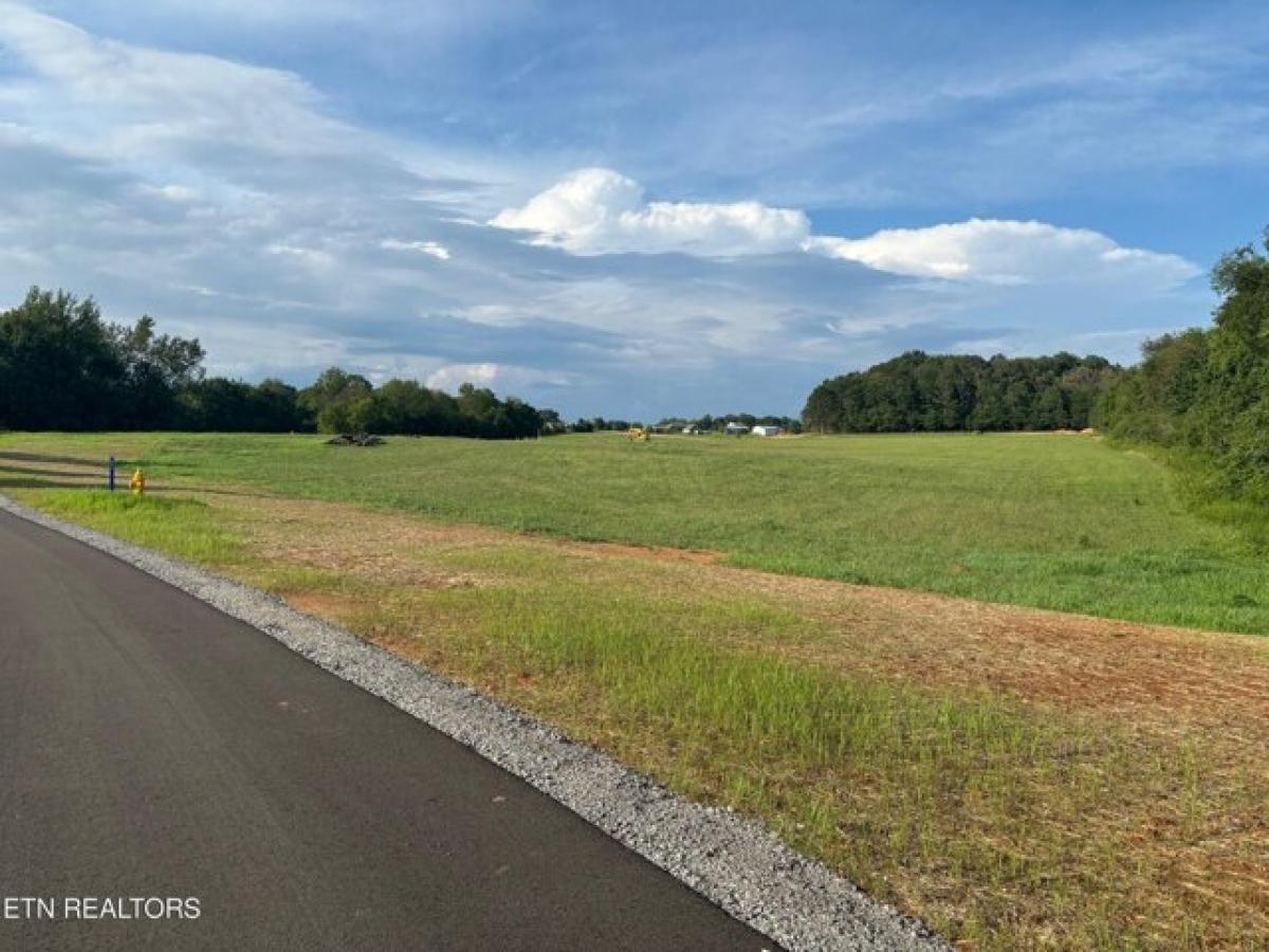 Picture of Residential Land For Sale in Seymour, Tennessee, United States