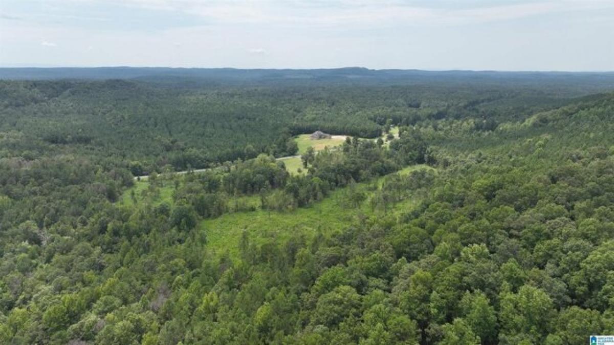 Picture of Residential Land For Sale in Ohatchee, Alabama, United States