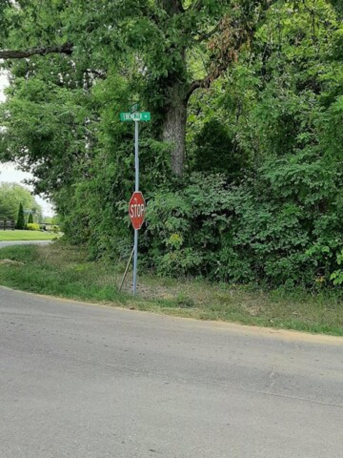 Picture of Residential Land For Sale in Greenbrier, Tennessee, United States